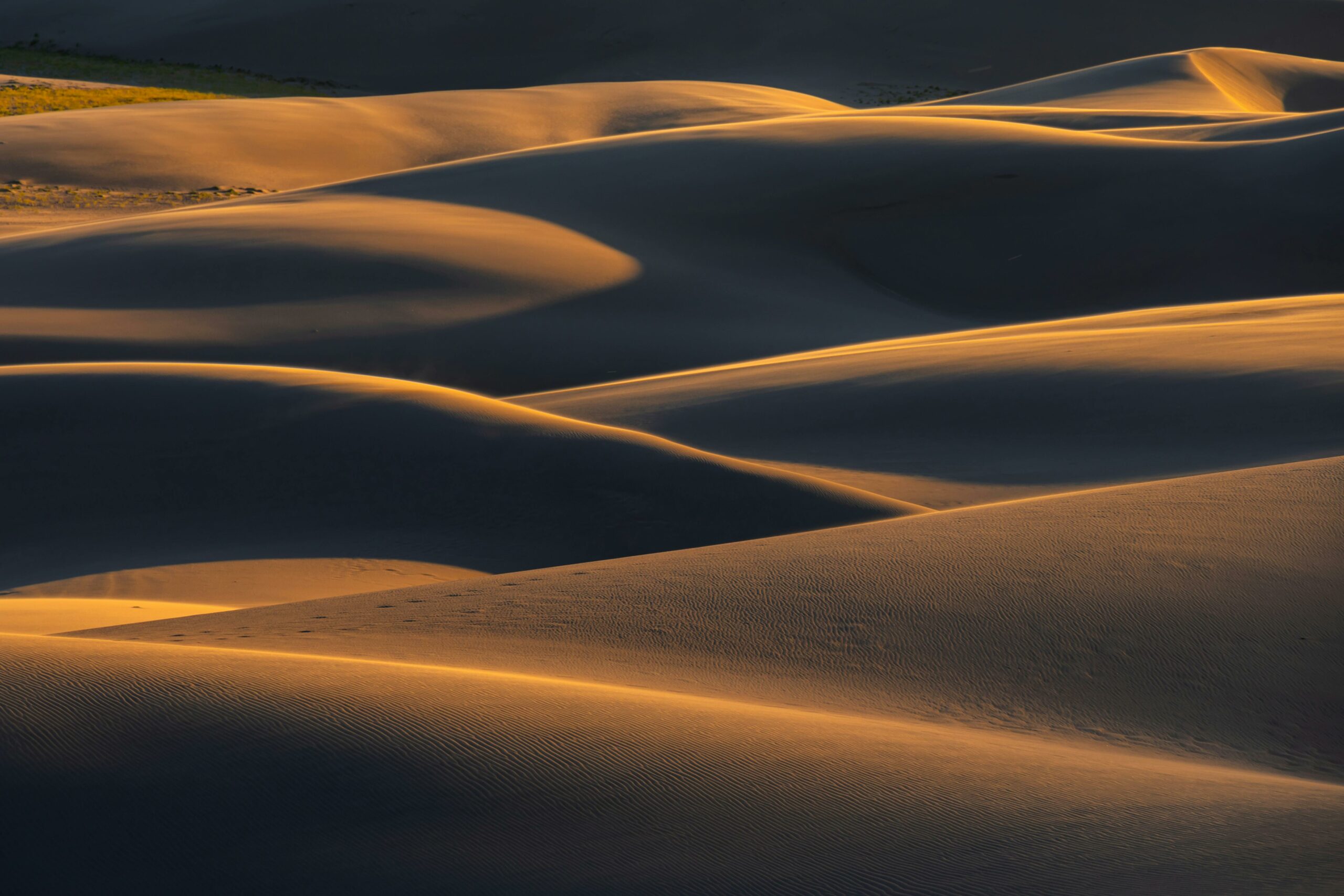 Goldene Sanddünen Bei Sonnenuntergang In Colorado