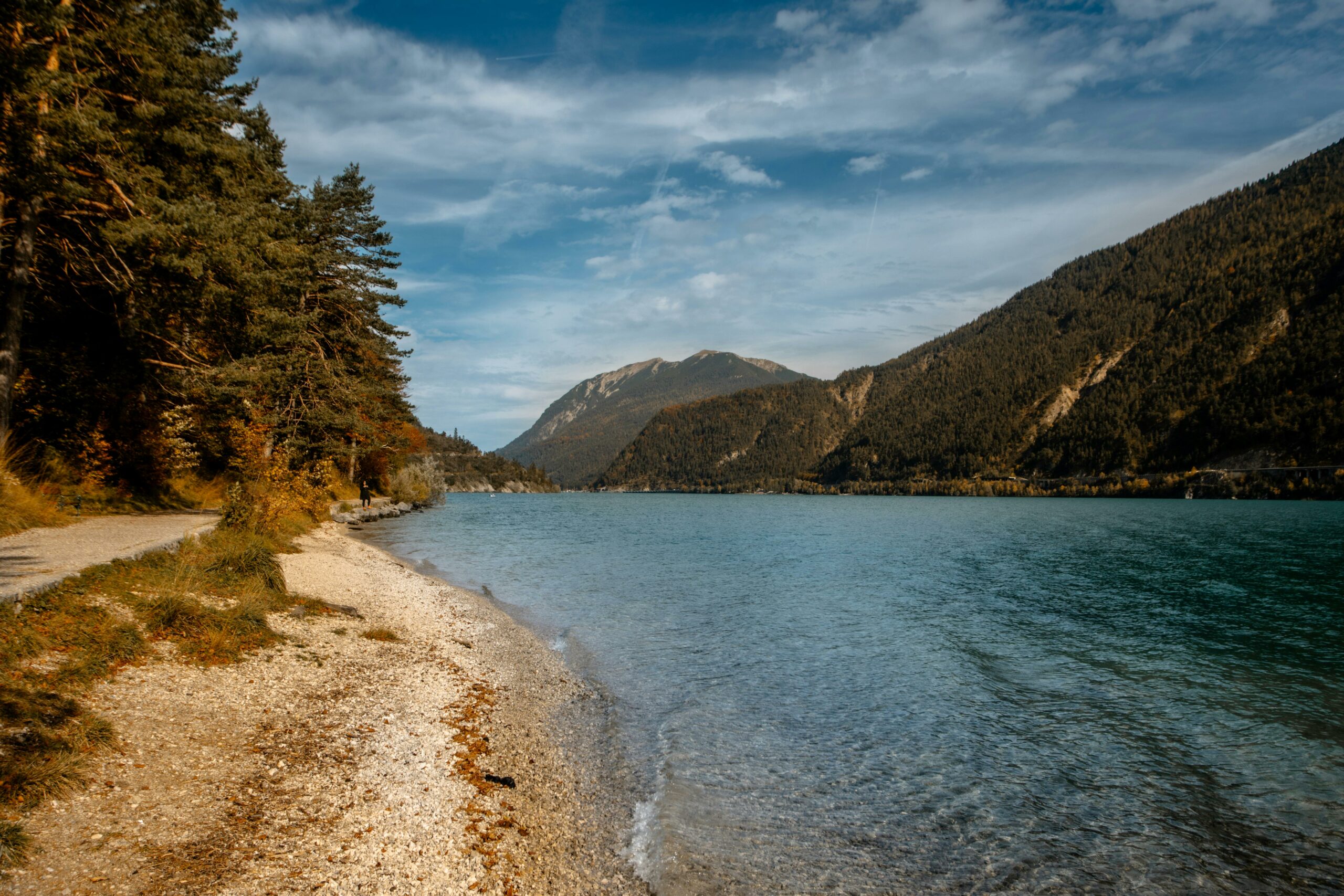 Kostenloses Stock Foto zu autumn, autumn vibes, bird view