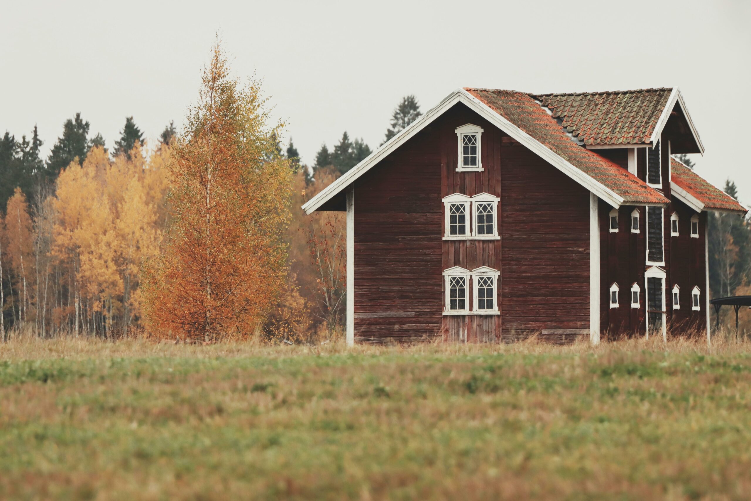 Nordische Natur