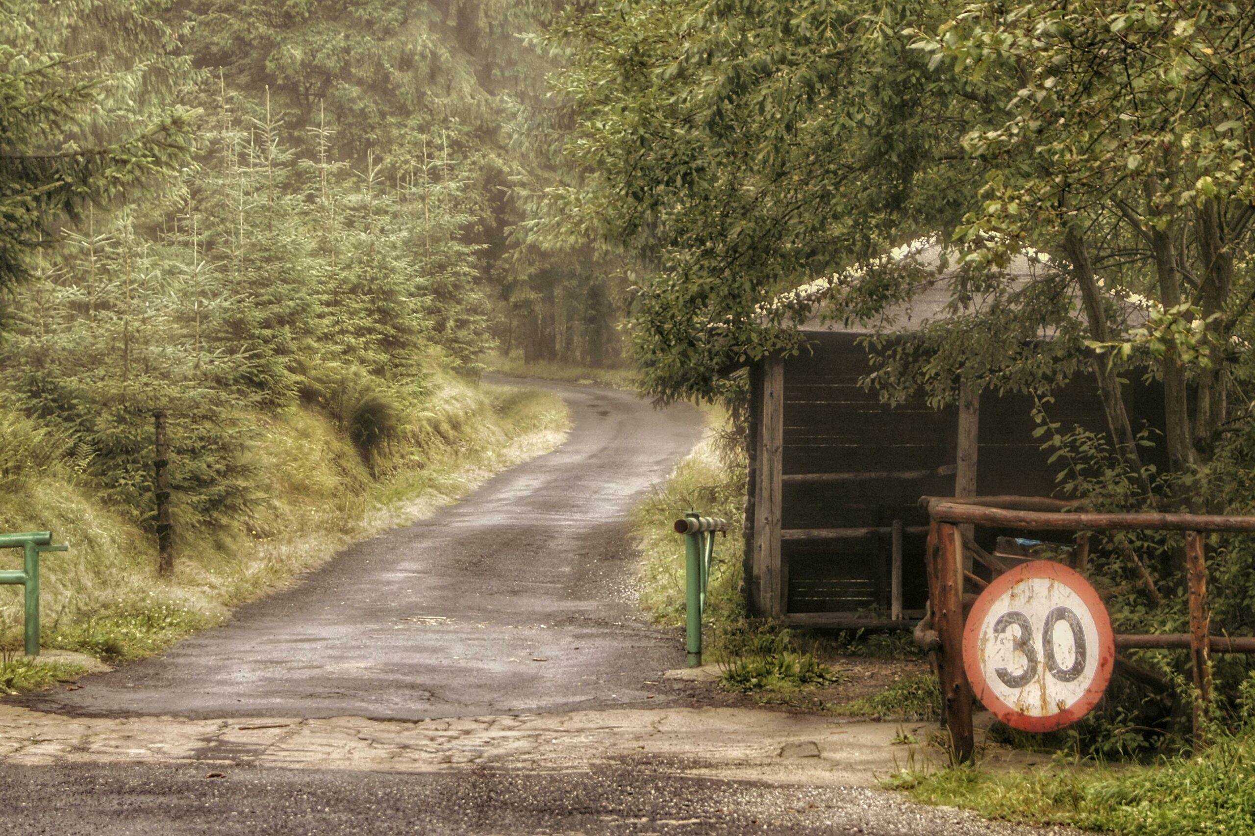 Ruhige Waldstraße Mit Nebel Und Geschwindigkeitsschild