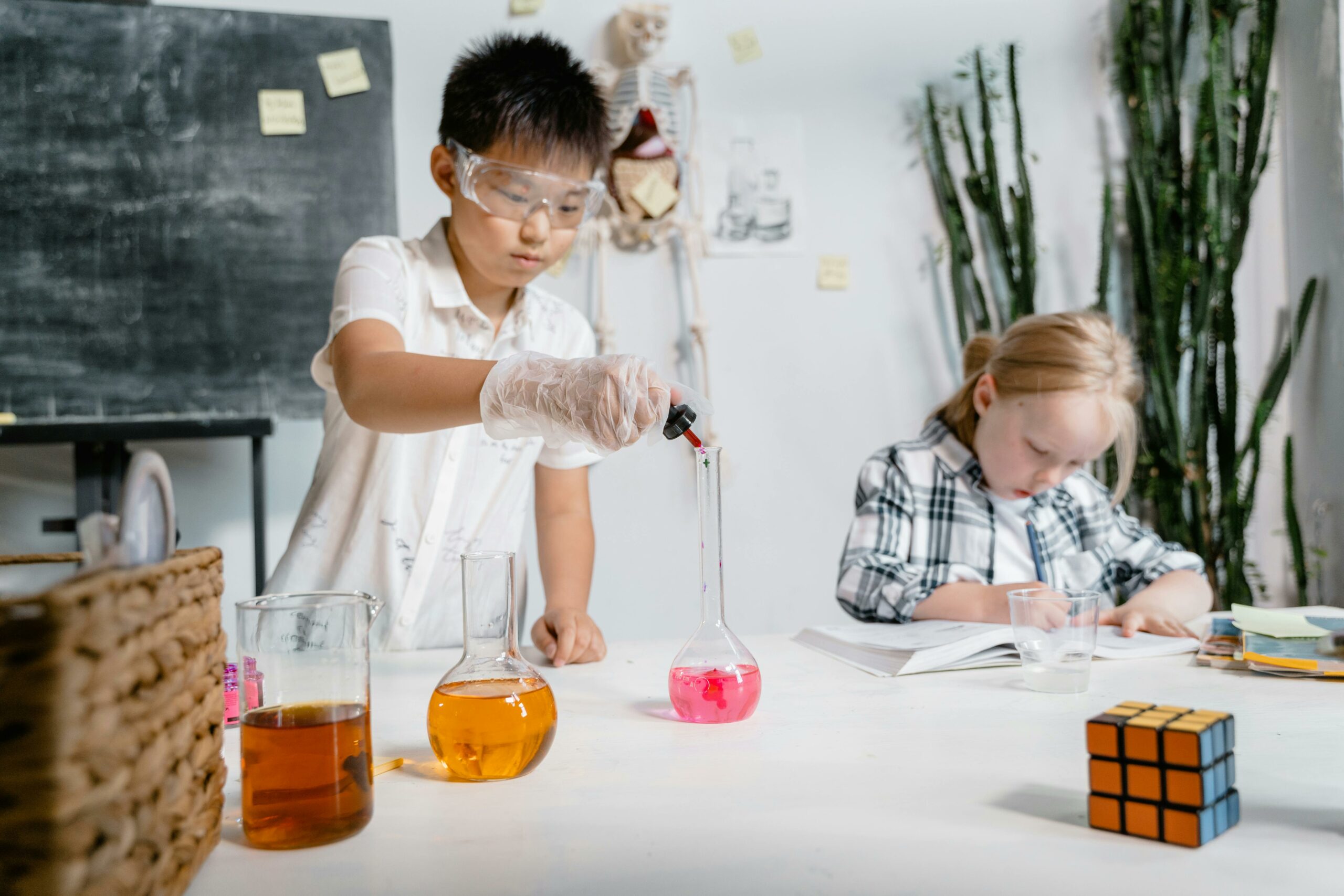 Kostenloses Stock Foto zu akademisch, ausbildung, becher