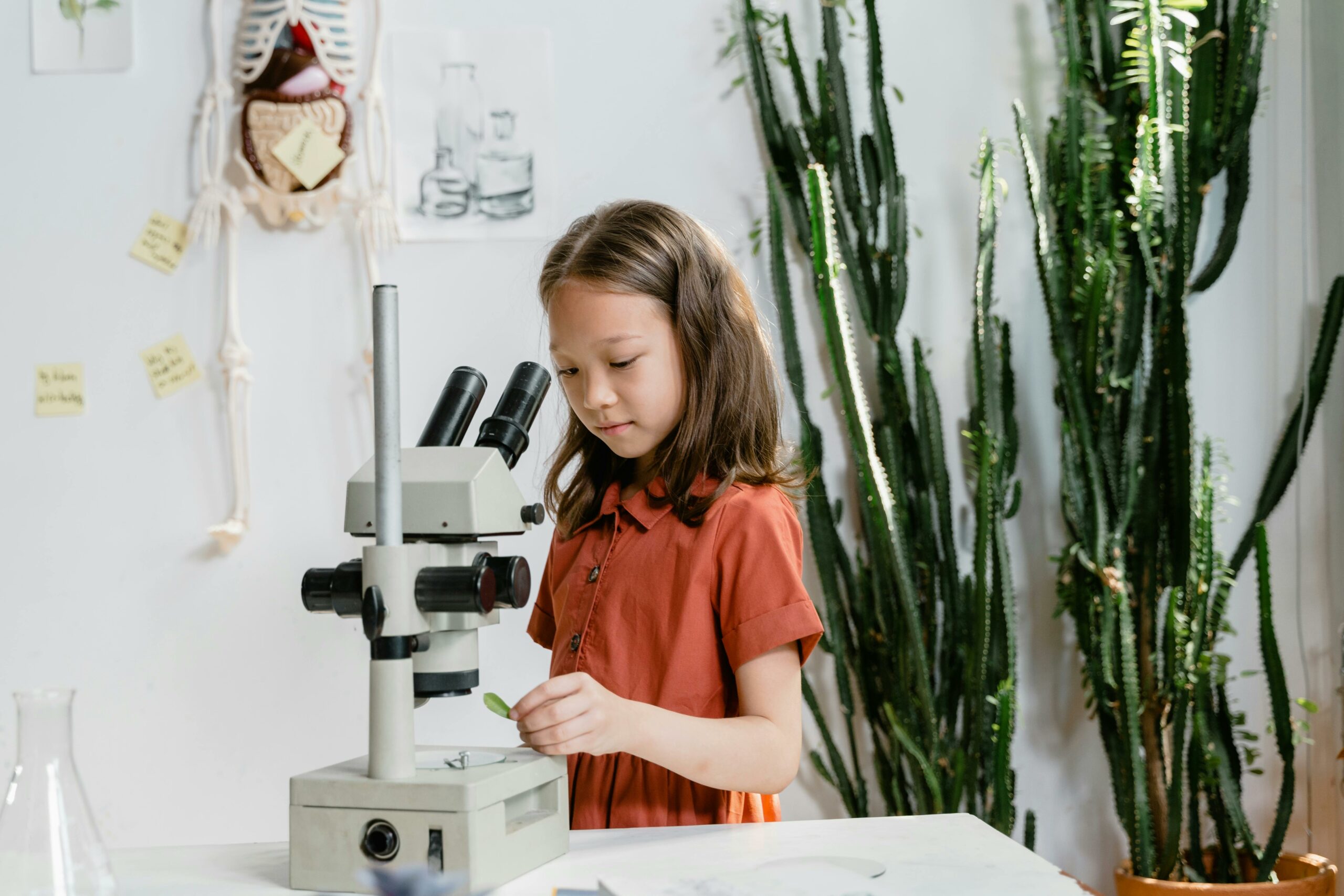 Kostenloses Stock Foto zu ausbildung, experiment, experimentieren