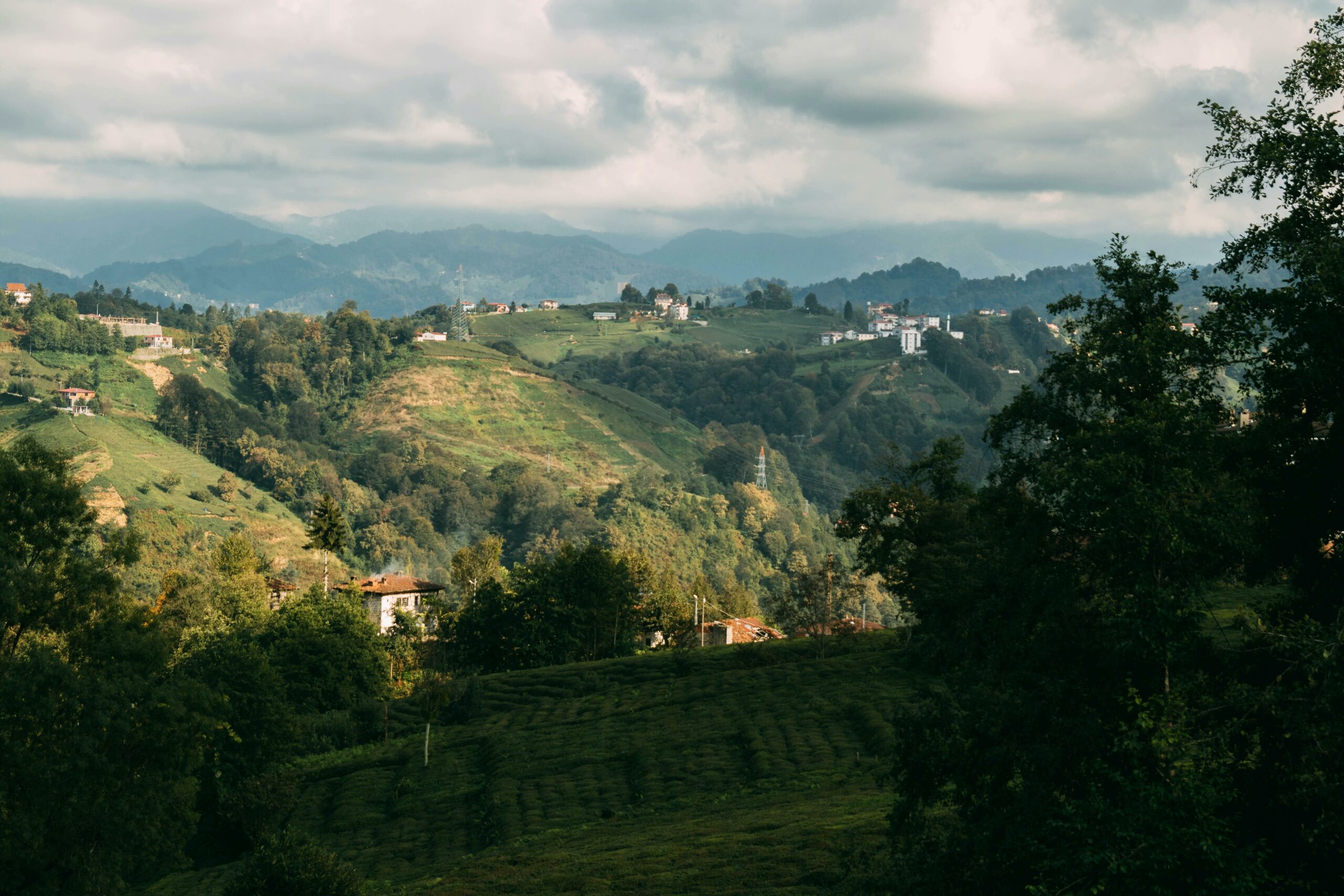Ein atemberaubender Blick auf eine üppig grüne Hügellandschaft unter einem bewölkten Himmel.