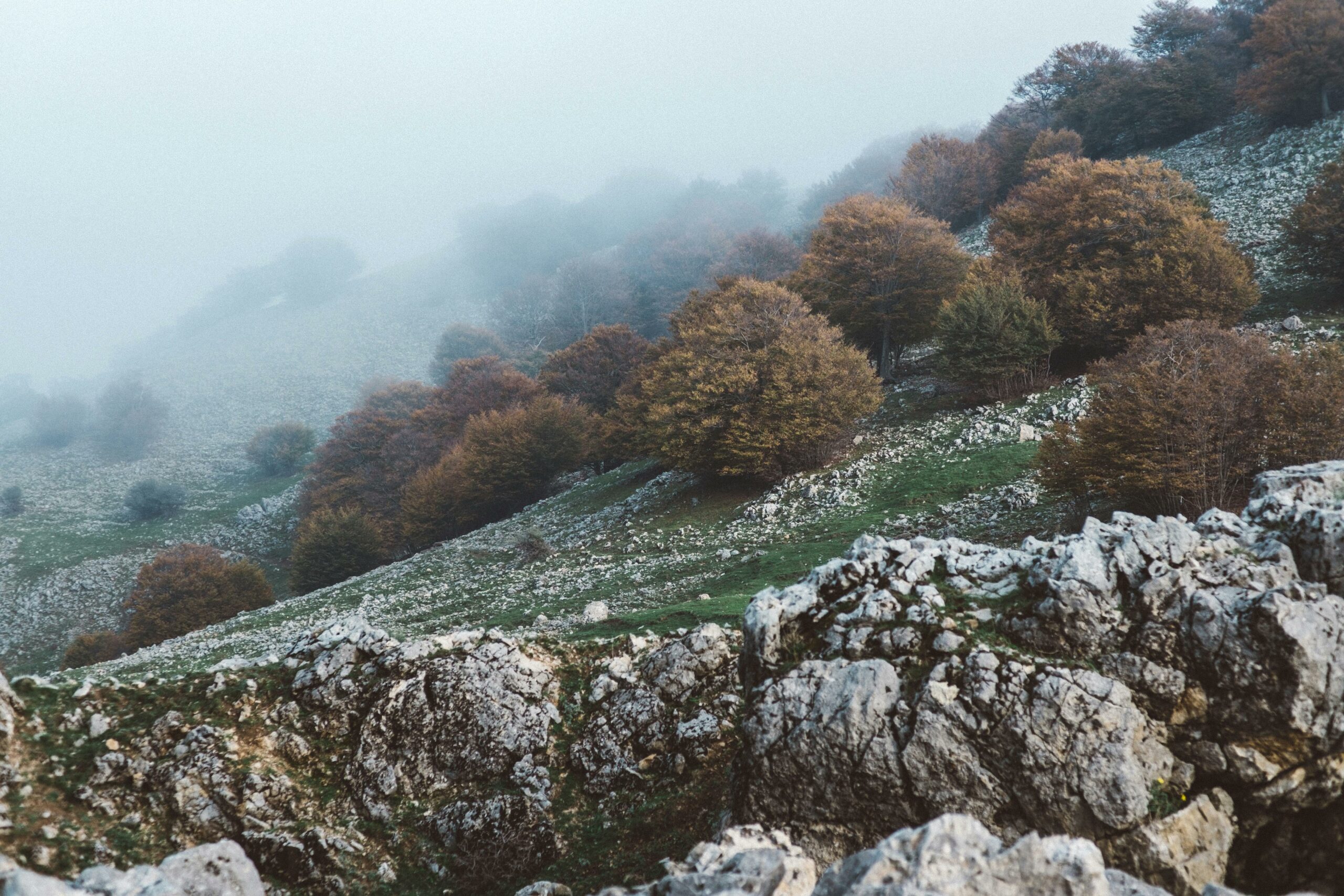 Erkunden Sie die neblige Herbstlandschaft mit bunten Bäumen in Piano Battaglia, Sizilien.