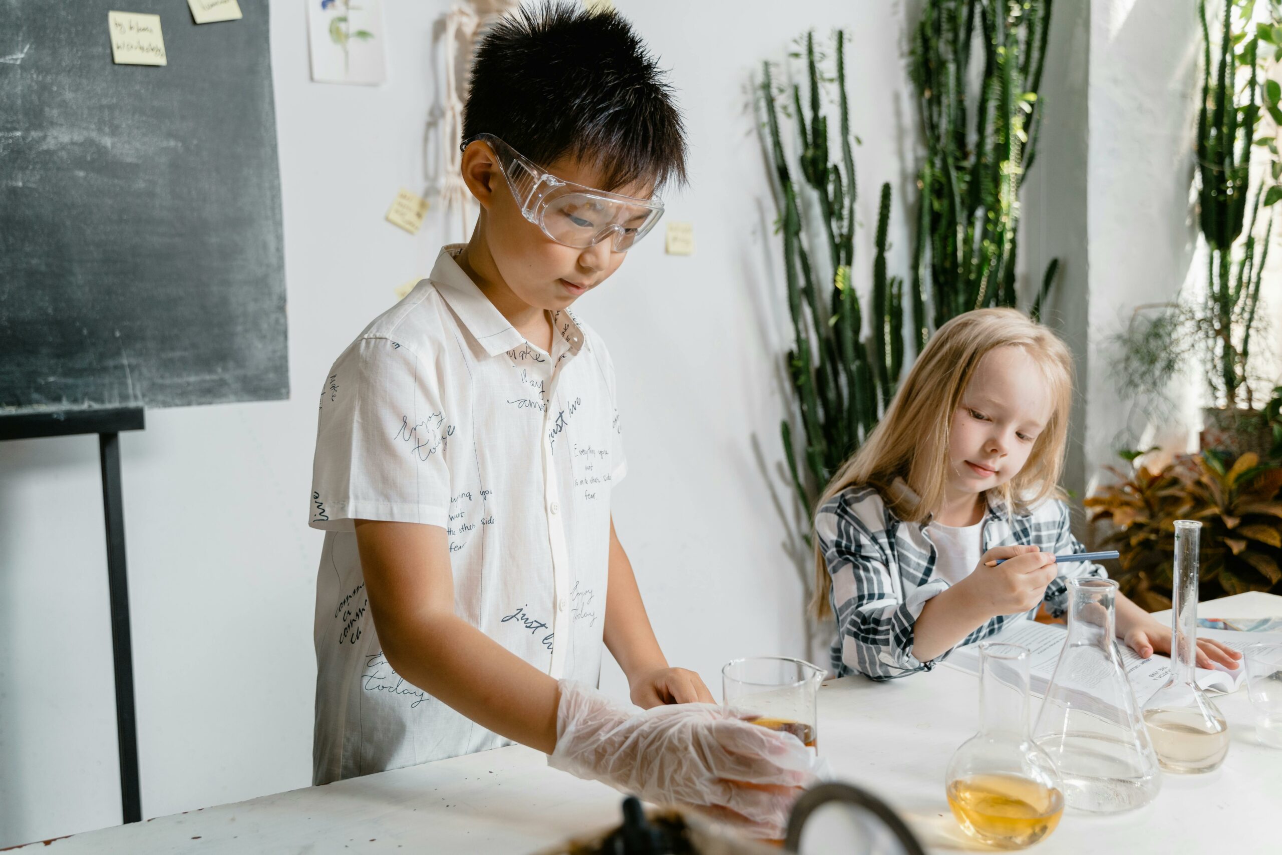 Kostenloses Stock Foto zu akademisch, ausbildung, becher